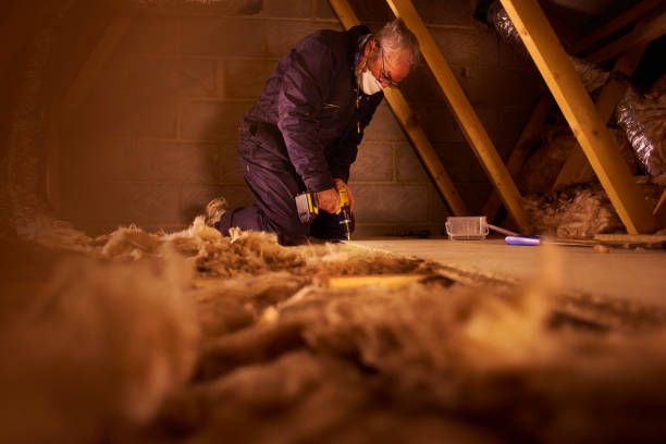 Best Best Insulation Companies  in San Antonio, TX